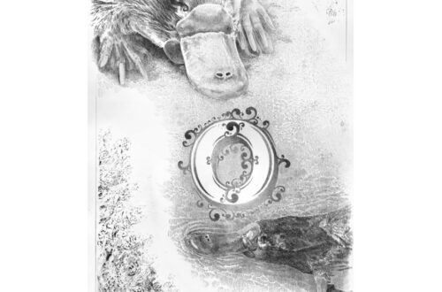 Lithographie originale 25 ex 3 ea